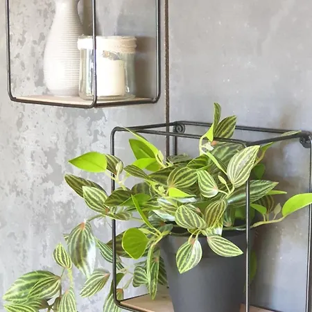 Le Cormier Lodge, Entre Loire Et Anjou *