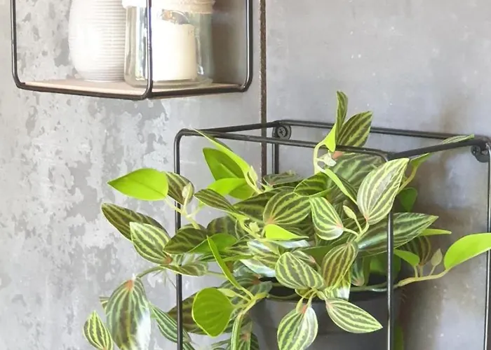 Le Cormier Lodge, Entre Loire Et Anjou *